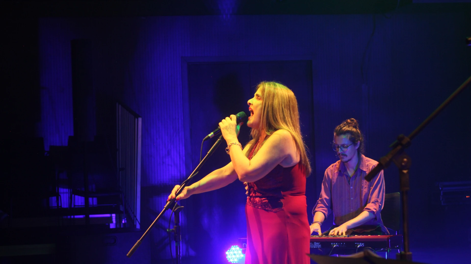 Simplesmente Elis Olga Reverbel